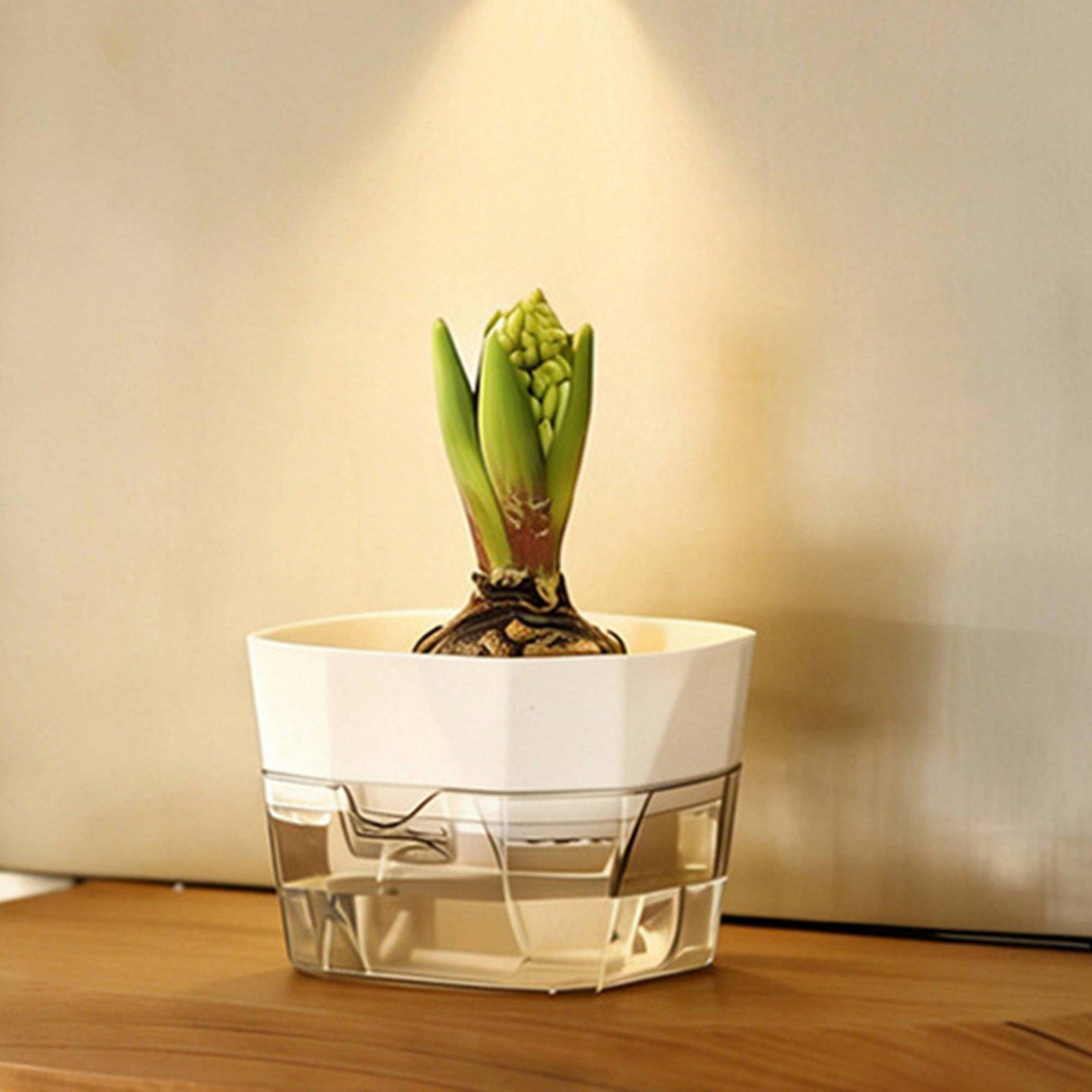 Hydroponic Vase Two Layer Self - đánh giá và giá Self-Watering Planter